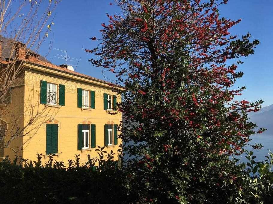 Villa Peroni Lake Como Classic With Swimming Pool آرجينيو المظهر الخارجي الصورة